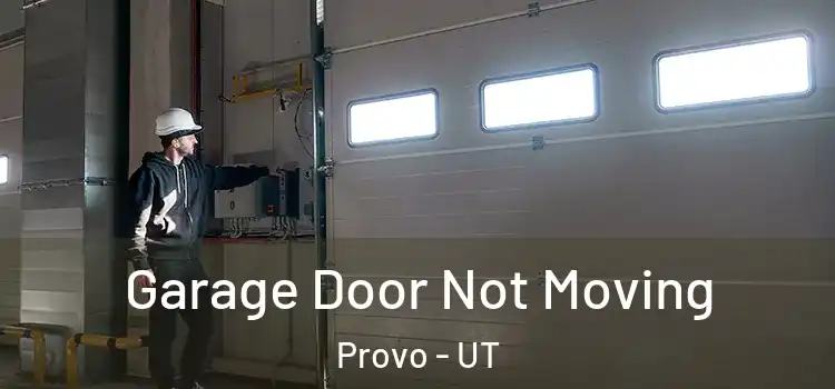  Garage Door Not Moving Provo - UT