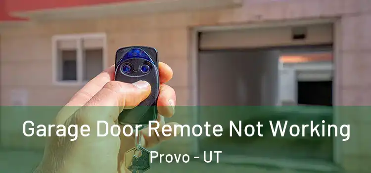  Garage Door Remote Not Working Provo - UT