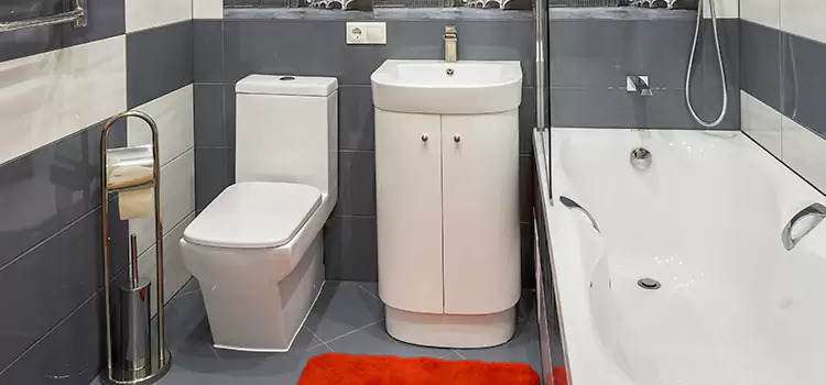 Hansgrohe Shaving Mirror Provo